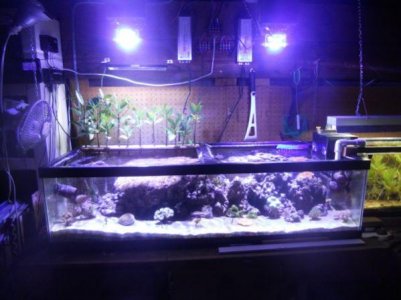 LEDfull.jpg