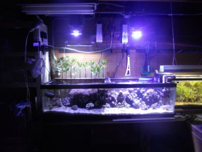 LED10L100R.jpg