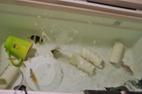 IMGP7968 (1024x680).jpg