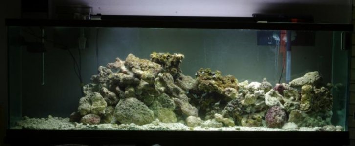 IMGP7957 (1024x424).jpg