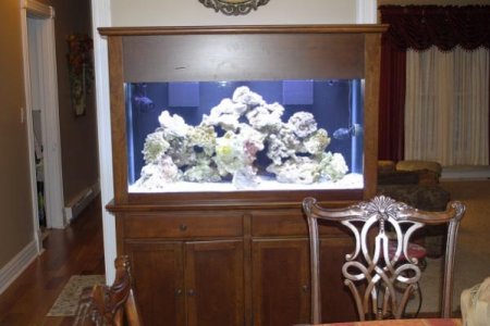 new tank 2.jpg