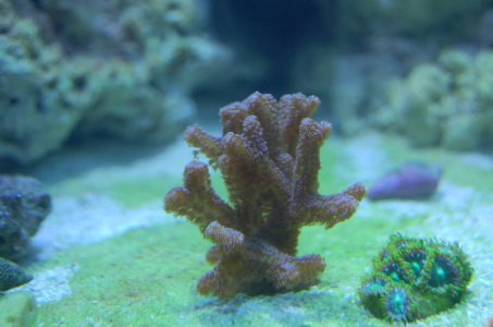 Aquarium (80).jpg