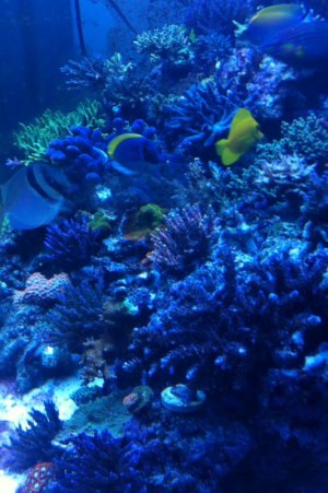 IMG_1633.jpg