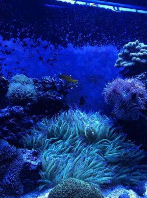 ImageUploadedByTapatalk1349958852.758850.jpg ImageUploadedByTapatalk1349958852.758850.jpg