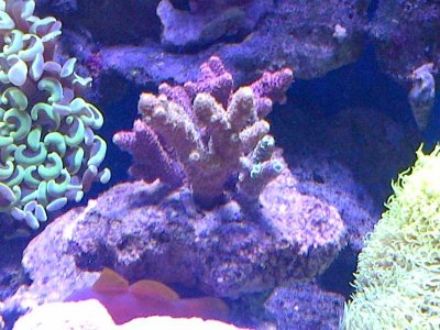 IMG-20120924-01063.jpg