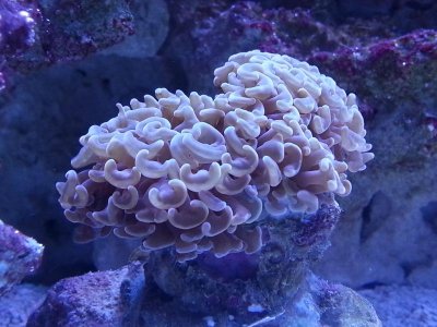 20121011_214102[1].jpg