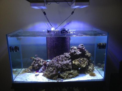 IMG_0531.JPG (2).jpg