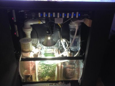 IMG_0536.JPG (2).jpg