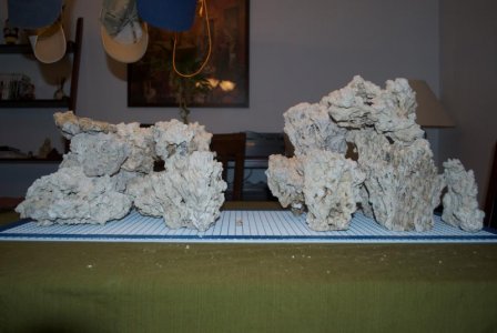 direct look from the front.jpg