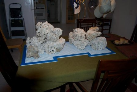 Back of Aquascape structure.jpg