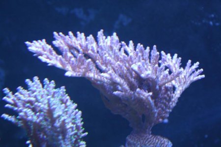 IMG_4819.jpg