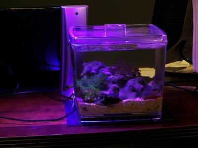 Tank1.jpg
