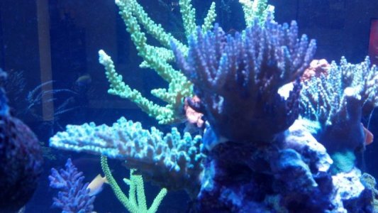 2012-10-13_16-37-54_674.jpg
