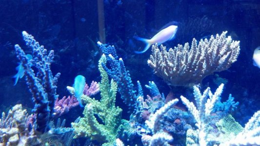 2012-10-13_16-41-24_794.jpg