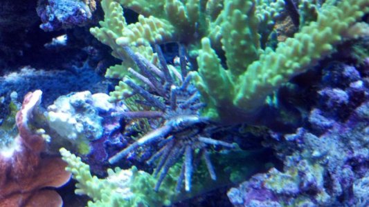 2012-10-13_16-45-11_316.jpg