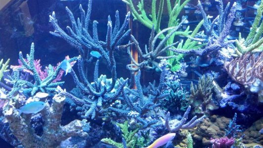 2012-10-13_16-36-49_62.jpg