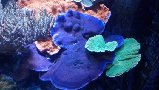 2012-09-30_19-46-02_964.jpg