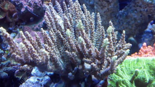 2012-10-13_16-45-00_447.jpg