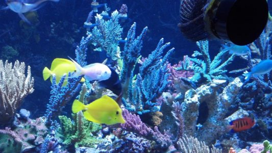 2012-09-30_19-46-56_33.jpg