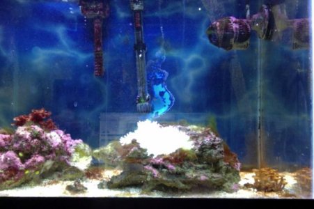 Photo on 10-15-12 at 11.42 PM.jpg