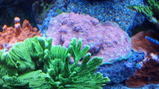 2012-09-30_19-46-18_158.jpg