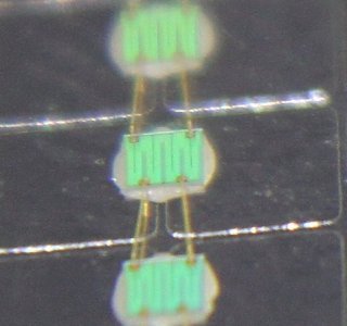 close up 450nm 50w led.jpg