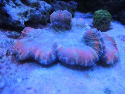 IMG_0414.jpg