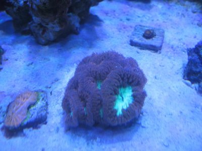 IMG_0410.jpg