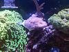 IMG-20121016-00085.jpg