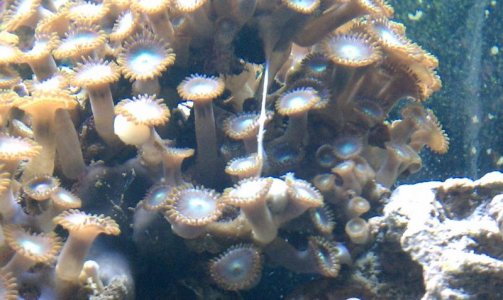 IMAG0234.jpg