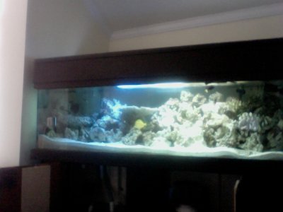 Photo on 2012-10-18 at 10.23 #2.jpg