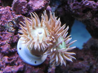 IMG_1669.jpg