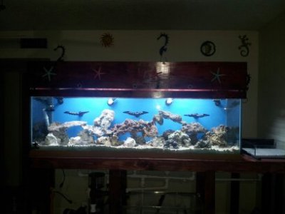 vacation 2012 269.jpg