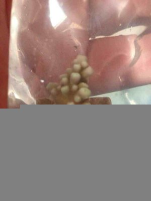 ImageUploadedByTapatalk1350773738.980800.jpg ImageUploadedByTapatalk1350773738.980800.jpg