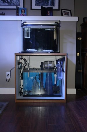 new frogfish build 018.jpg