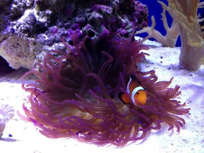 ImageUploadedByTapatalk HD1350856355.810719.jpg