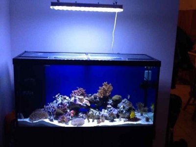 ImageUploadedByTapatalk HD1350865230.198455.jpg