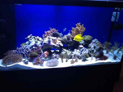 ImageUploadedByTapatalk HD1350865277.989795.jpg