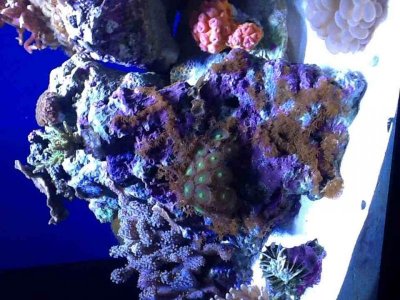 ImageUploadedByTapatalk HD1350865346.065200.jpg