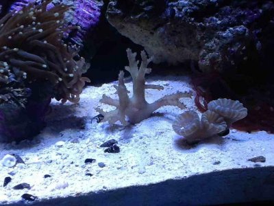 ImageUploadedByTapatalk HD1350866401.310307.jpg