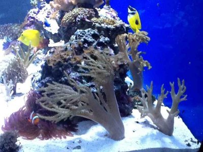 ImageUploadedByTapatalk HD1350866768.095901.jpg