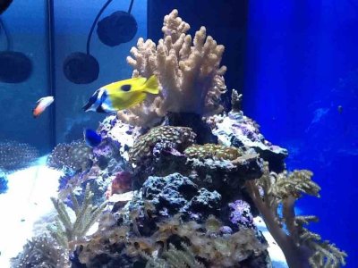 ImageUploadedByTapatalk HD1350866780.060579.jpg