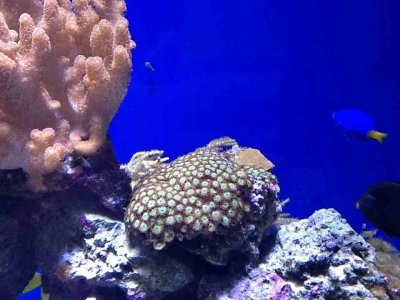 ImageUploadedByTapatalk HD1350866793.974274.jpg