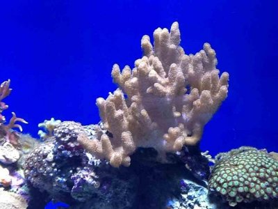 ImageUploadedByTapatalk HD1350866807.472240.jpg