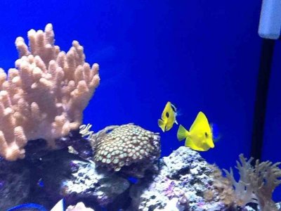 ImageUploadedByTapatalk HD1350866936.332936.jpg