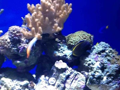 ImageUploadedByTapatalk HD1350866950.401227.jpg