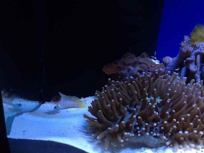 ImageUploadedByTapatalk HD1350866994.050063.jpg