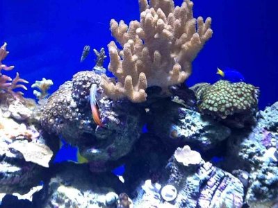 ImageUploadedByTapatalk HD1350867138.451988.jpg