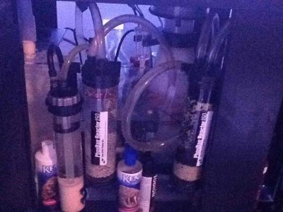 ImageUploadedByTapatalk HD1350867223.855331.jpg