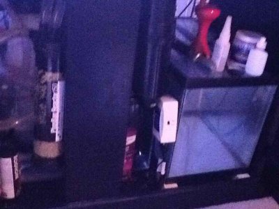 ImageUploadedByTapatalk HD1350867239.214521.jpg